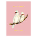 Absolutely Fabulous Postcard
