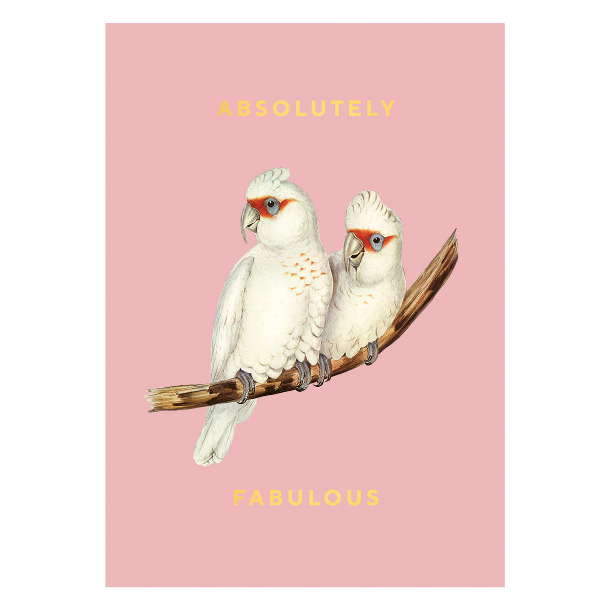 Absolutely Fabulous Postcard
