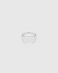 Michael Ring Ring