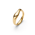 Vayu Ring Gold HP Ring
