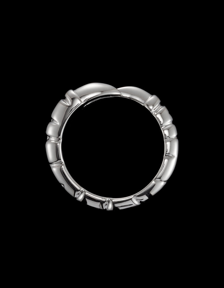 Claw Ring - Silver Ring