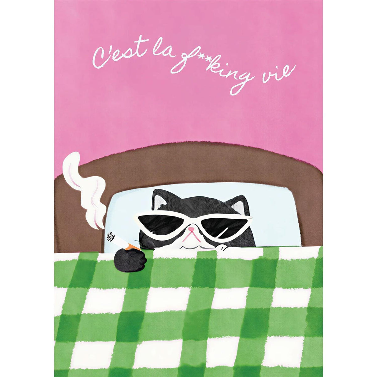 C'est La F**king Vie Postcard