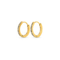 Nilea - Crystal Hoop Earrings Stainless Steel Ørepynt