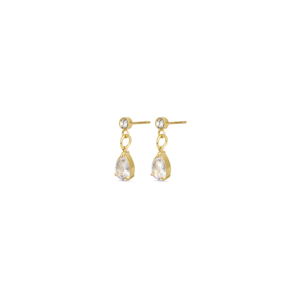 Roslyn - Crystal Stud Earrings Stainless Steel Ørepynt