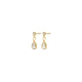 Roslyn - Crystal Stud Earrings Stainless Steel Ørepynt