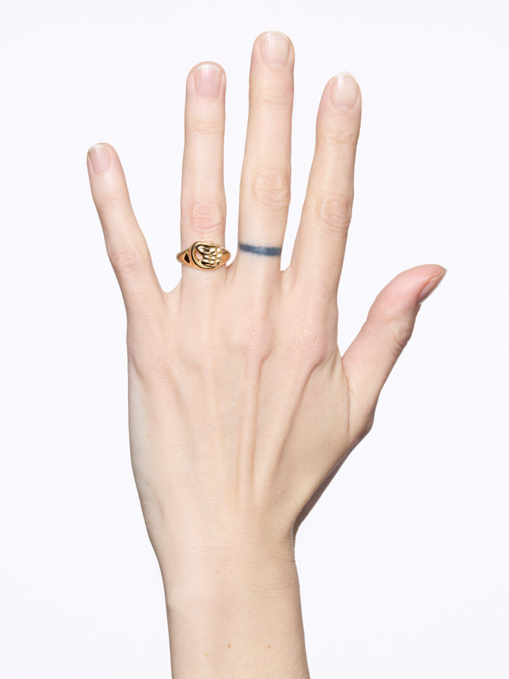 Swan Mini Signet Ring Gold Ring