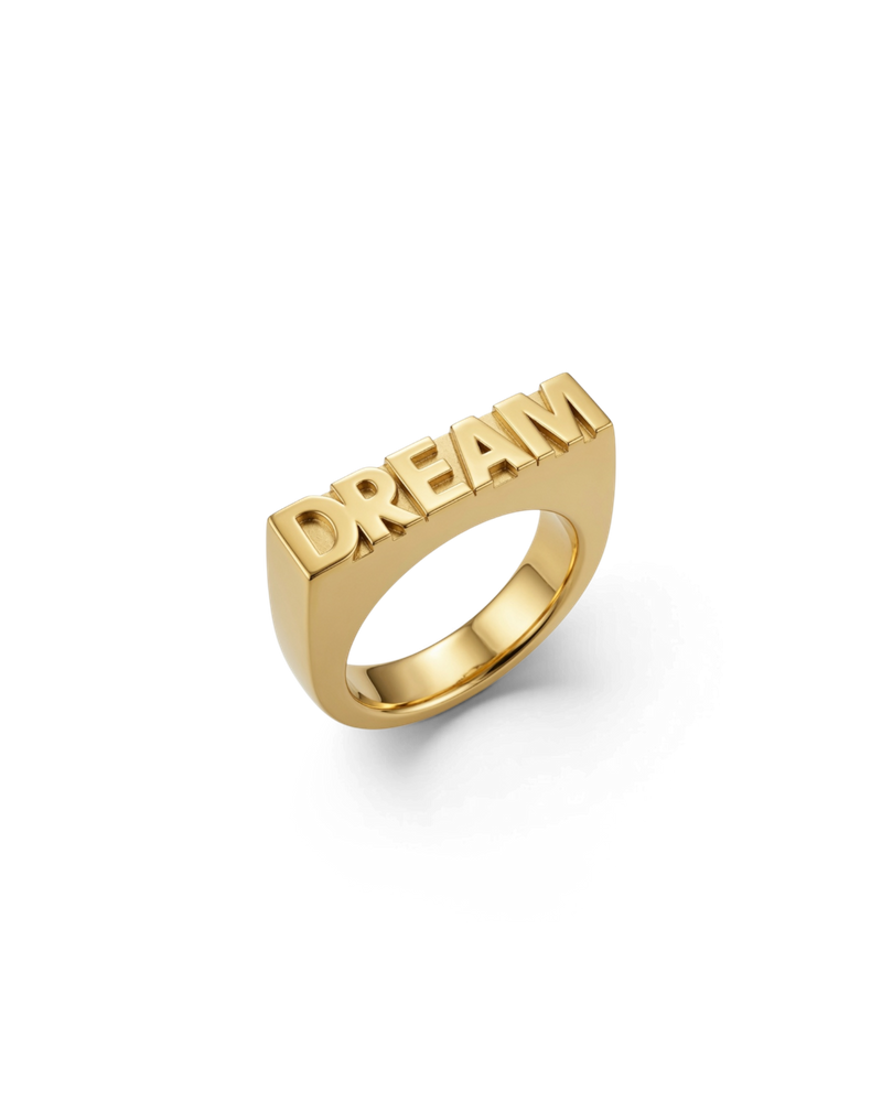 Dream Signet Ring Gold Ring