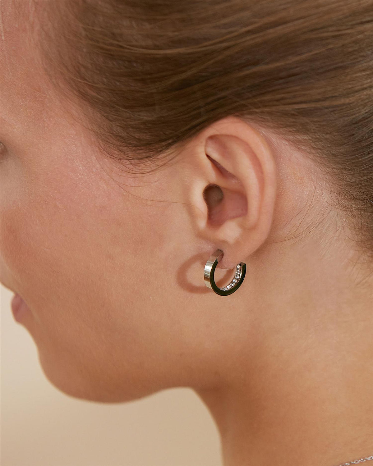Monaco Earrings Mini Steel