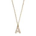 Juno - Crystal Letter Necklace Stainless Steel
