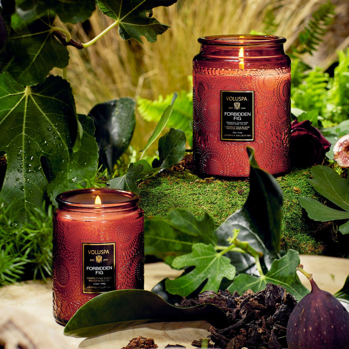 Small Jar Candle Forbidden Fig Interiør/Livsstil