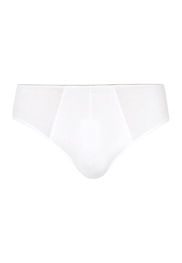 Briefs