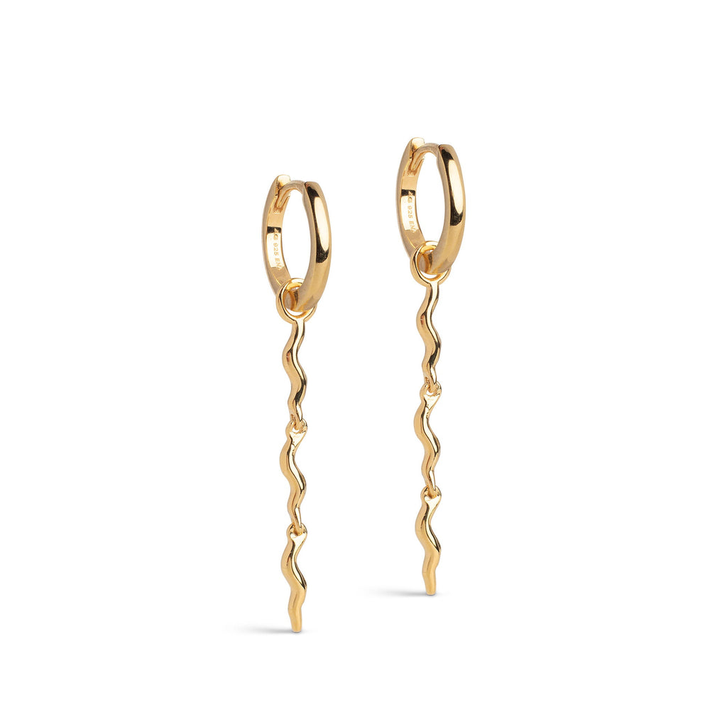 Hoops, Hydrus Ørepynt
