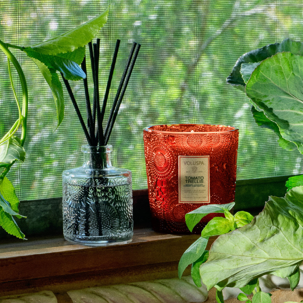 Classic Boxed Candle, 60 tim, 255 g Interiør/Livsstil